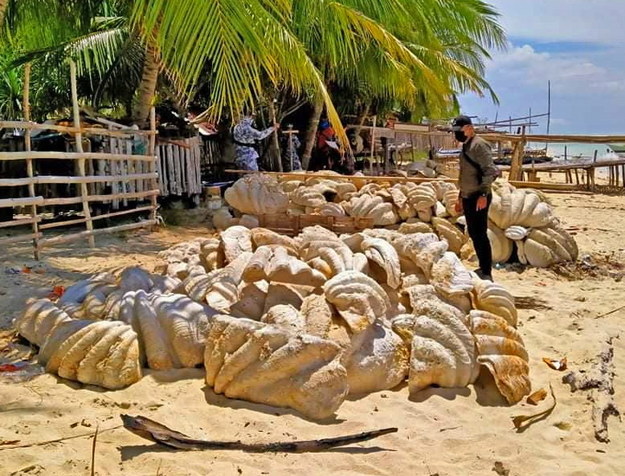 /foto. Philippine Coast Guard /PAP/EPA