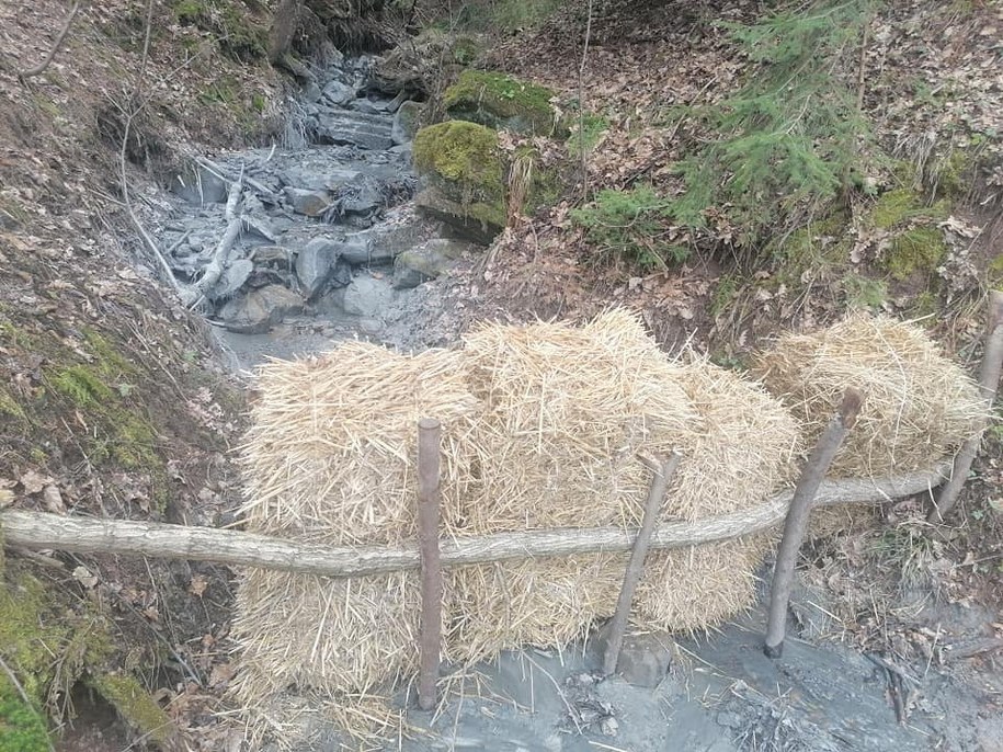 /SSR Żywiec - Społeczna Straż Rybacka Powiatu Żywieckiego/ Facebook /