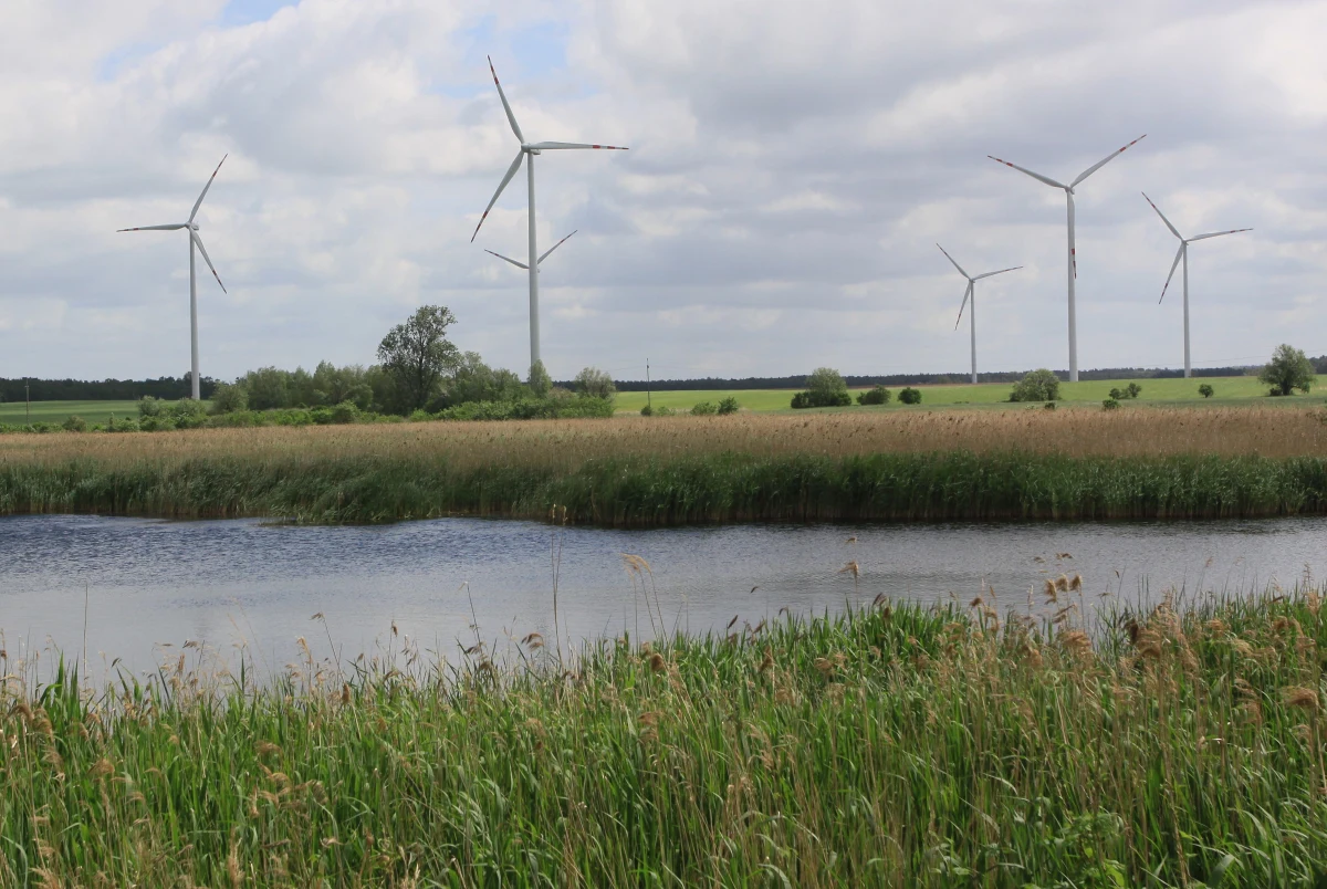 Z Krajowego Programu Odbudowy w postaci grantów do samorządów trafi tylko 20 procent wszystkich środków - wynika z wstępnego planu podziałów pieniędzy, do którego dotarli dziennikarze RMF FM. Samorządy mają dostać za to najwięcej pieniędzy w postaci pożyczek. To będzie prawie 50 procent całości programu reaktywacji gospodarki po pandemii, finansowanego z unijnych środków.