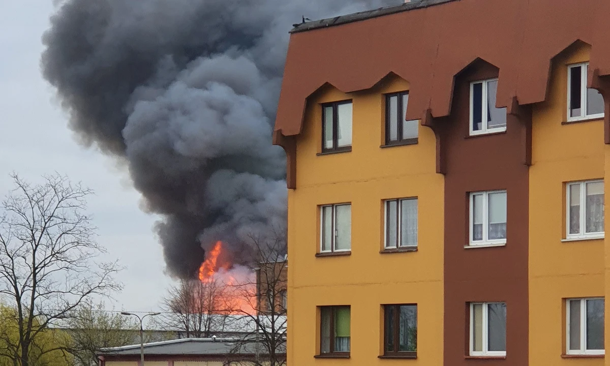 W ciągu niespełna dwóch godzin strażakom udało się opanować pożar hali magazynowej w Dąbrowie Górniczej. Płonęła hala przy ul. Chemicznej o powierzchni około 2,5 tysiąca metrów kwadratowych, w której składowane były drewniane palety i materiały z tworzyw sztucznych.