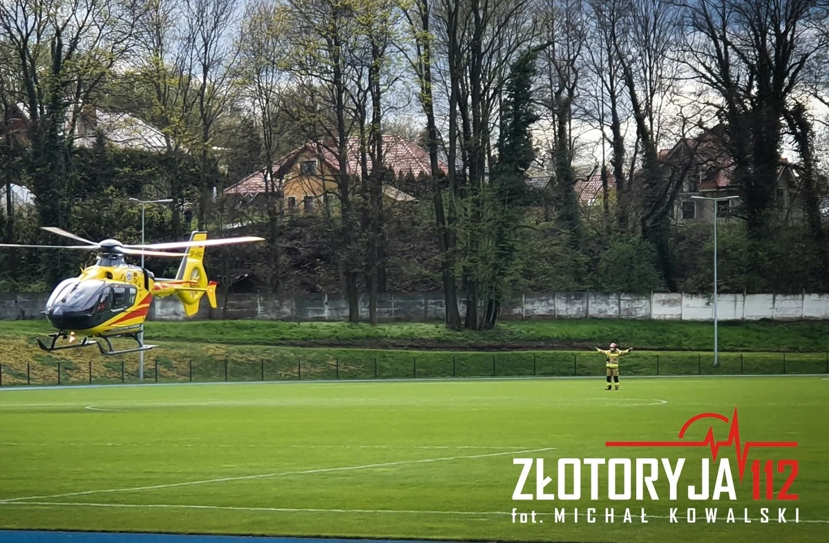 Drzewo spadło na 15-latka w Twardocicach na Dolnym Śląsku. Chłopak z obrażeniami głowy trafił do szpitala. 