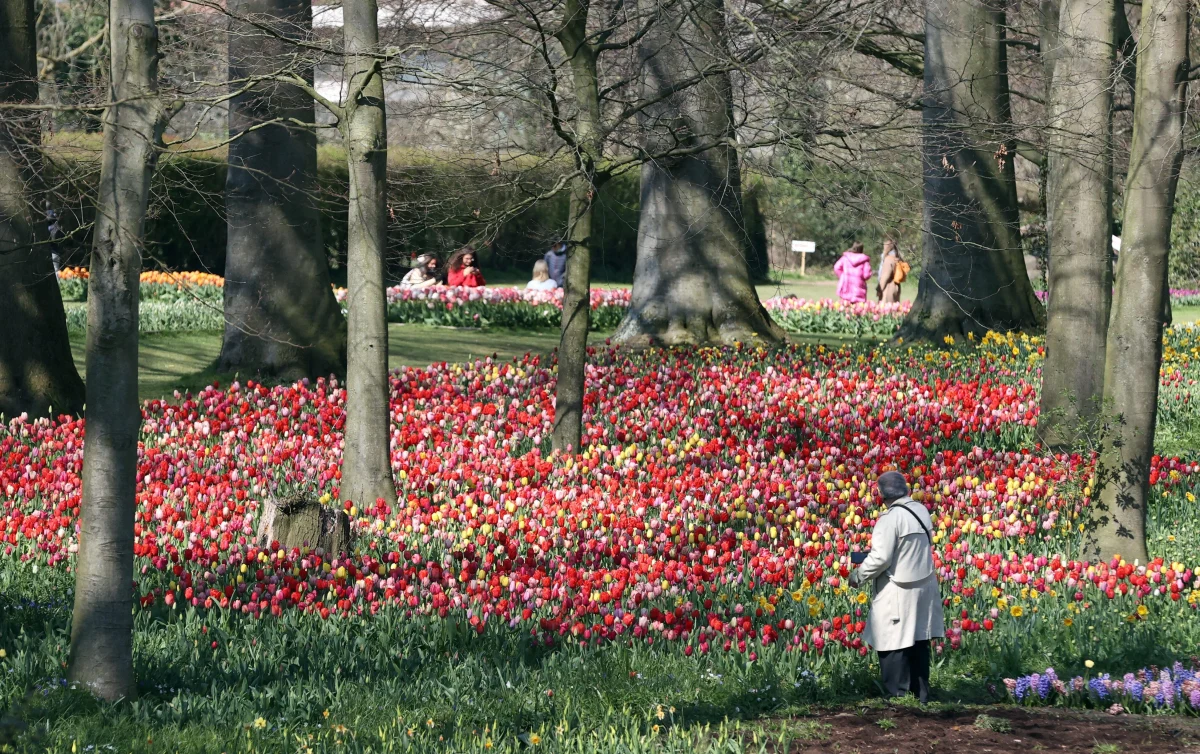 W środę, na południu Polski, termometry miejscami pokażą ponad 20 stopni C. W części Polski wiał będzie porywisty wiatr. Na Pomorzu jego prędkość może przekroczyć 80 km/h. 