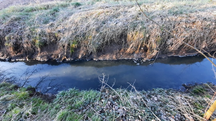 /Przemysław Błaszczyk /RMF MAXX