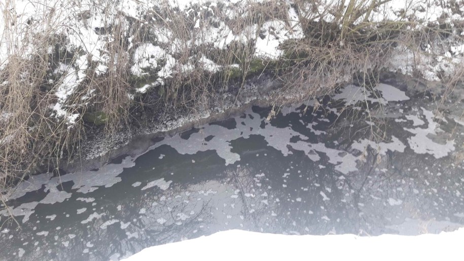 /Przemysław Błaszczyk /RMF MAXX