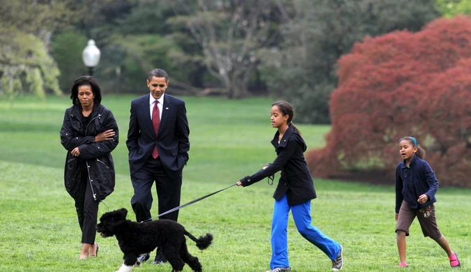 Nie żyje Bo - pies Baracka Obamy. Były prezydent stracił "prawdziwego przyjaciela"