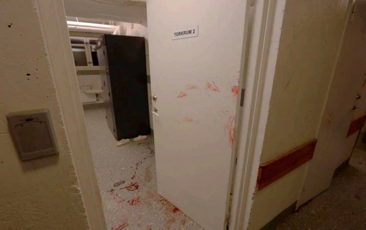 Na 14 lat więzienia oraz dożywotni zakaz przebywania w Szwecji został skazany Polak, pracujący w tym kraju jako robotnik budowlany. 50-latek skradł w sumie ponad 250 damskich majtek. Zakładał je i robił sobie zdjęcia. Przyłapany na gorącym uczynku w blokowej pralni zaatakował młotkiem 26-letnią kobietę.