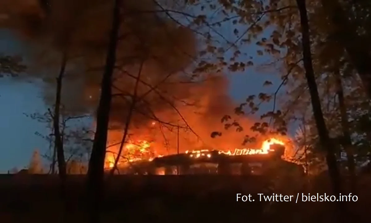 Akcja strażaków w Bielsku-Białej: na terenach sąsiadujących z dworcem kolejowym wybuchł pożar.