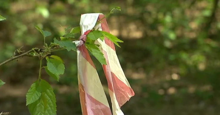 Śledczy wskazali, że "policjanci umieścili nieprzytomnego mężczyznę w radiowozie, po czym wywieźli go wbrew jego woli do lasu w okolicach Pobiedzisk i tam pozostawili. Następnego dnia mężczyzna został znaleziony martwy w pobliżu miejsca, gdzie został pozostawiony"