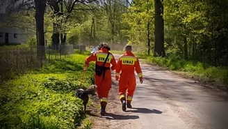 Ledno: Trzecia dobra poszukiwań nastolatków. W akcji ponad 200 osób