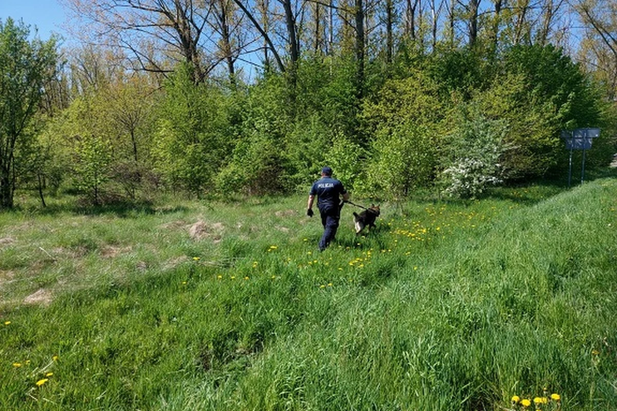 Na lądzie i z powietrza są prowadzone w Łódzkiem poszukiwania zaginionego niepełnosprawnego Krzysztofa Graczyka. 54-latek ostatni raz widziany był 11 maja w miejscowości Truskawiec w gm. Wartkowice. Od tamtej pory nie wrócił do domu oraz nie nawiązał kontaktu z najbliższymi.
