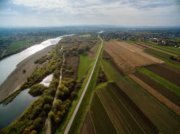 /materiały prasowe /