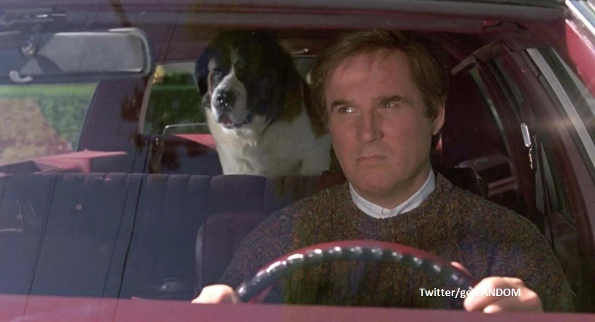 W wieku 86 lat zmarł we wtorek amerykański aktor Charles Grodin, znany przede wszystkim z filmu familijnego "Beethoven" - poinformował dziennik "New York Times", powołując się na syna aktora, Nicholasa.