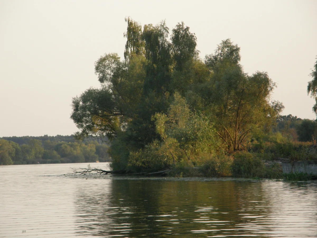 Synoptycy zapowiadają dziś duże zachmurzenie z przelotnymi opadami deszczu. Wydano także ostrzeżenia przed burzami na południu kraju. Szczególnie trudne warunki pogodowe panują obecnie w Tatrach. Na Śląsku z kolei poziom wód w wielu miejscach nadal przekracza stany ostrzegawcze. Do Warszawy fala wezbraniowa ma dopiero dotrzeć. 