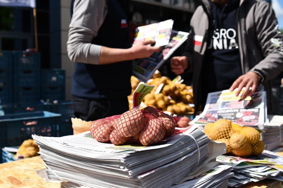 W trzech miejscach w Warszawie rolnicy rozdawali dziś ziemniaki. Był to protest AgroUnii pod hasłem "Odbijemy wieś PiS-owi". Rolnicy chcieli nim pokazać w miastach obraz polskiej wsi. Do każdego półtora kilogramowego opakowania z ziemniakami dodawali kartkę ze specjalną informacją. "Za taką ilość ziemniaków rolnik dostaje 30 groszy. W sklepie kosztuje to 5 złotych" - mówi Michał Kołodziejczak, lider AgroUnii. W ramach akcji do stolicy przywieziono dzisiaj 10 ton ziemniaków. Zobaczcie zdjęcia! 