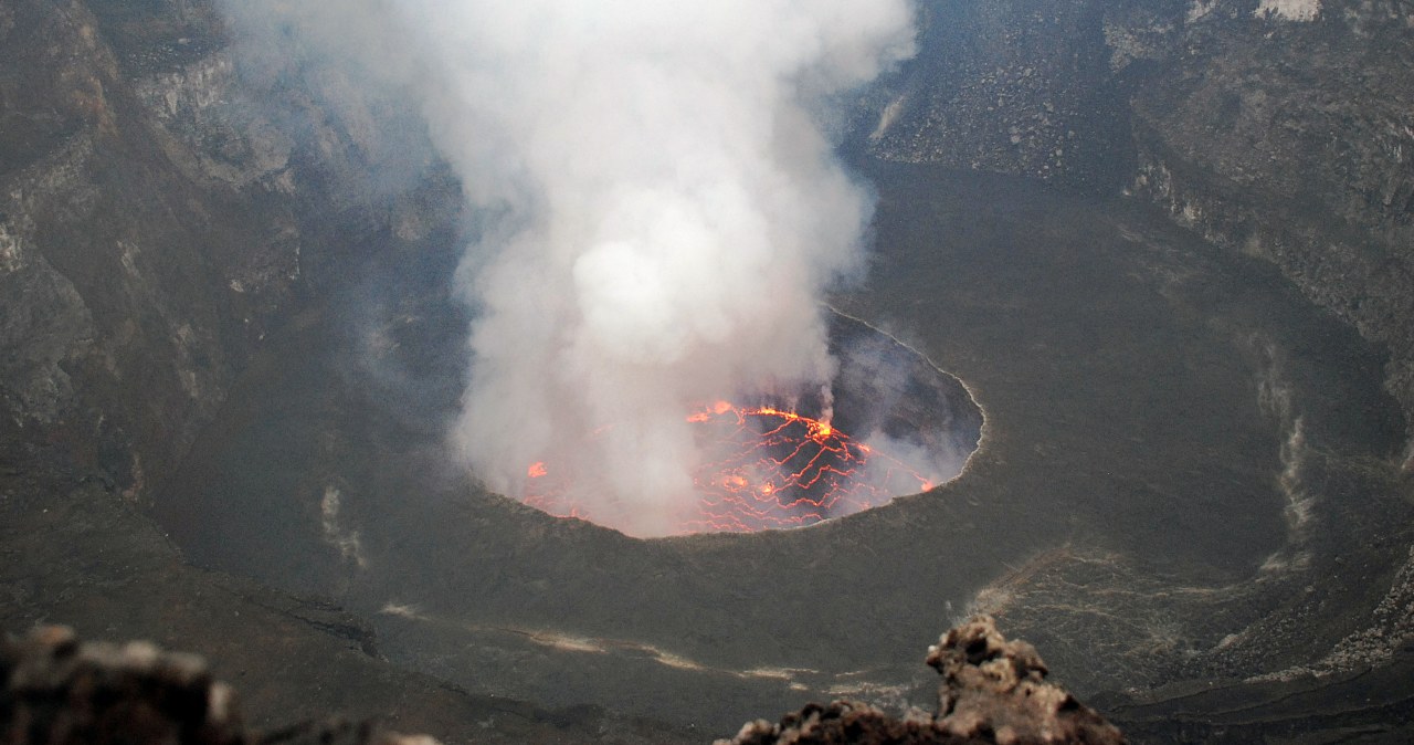 Żyją tam, gdzie wszystko inne ginie. Nowe odkrycie zadziwia świat
