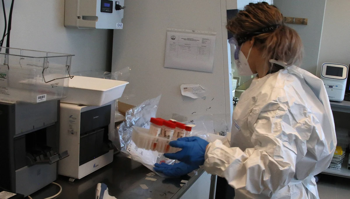 W nowej pracy naukowcy twierdzą, że koronawirus został stworzony w laboratorium. Według nich kolec, którym SARS-CoV-2 "wczepia się" w ludzkie komórki posiada "pięć istotnych cech wskazujących na celową manipulację". Fragmenty raportu, który ma się dopiero ukazać, publikuje brytyjski tabloid "Daily Mail", ale ci sami naukowcy próbowali swoje wnioski upowszechnić już rok temu. Wtedy spotkali się z falą krytyki w świecie naukowym, a media opisywały ich tezy jako dziwaczne albo podejrzane. Teraz atmosfera wokół teorii o sztucznym pochodzeniu wirusa jest inna.