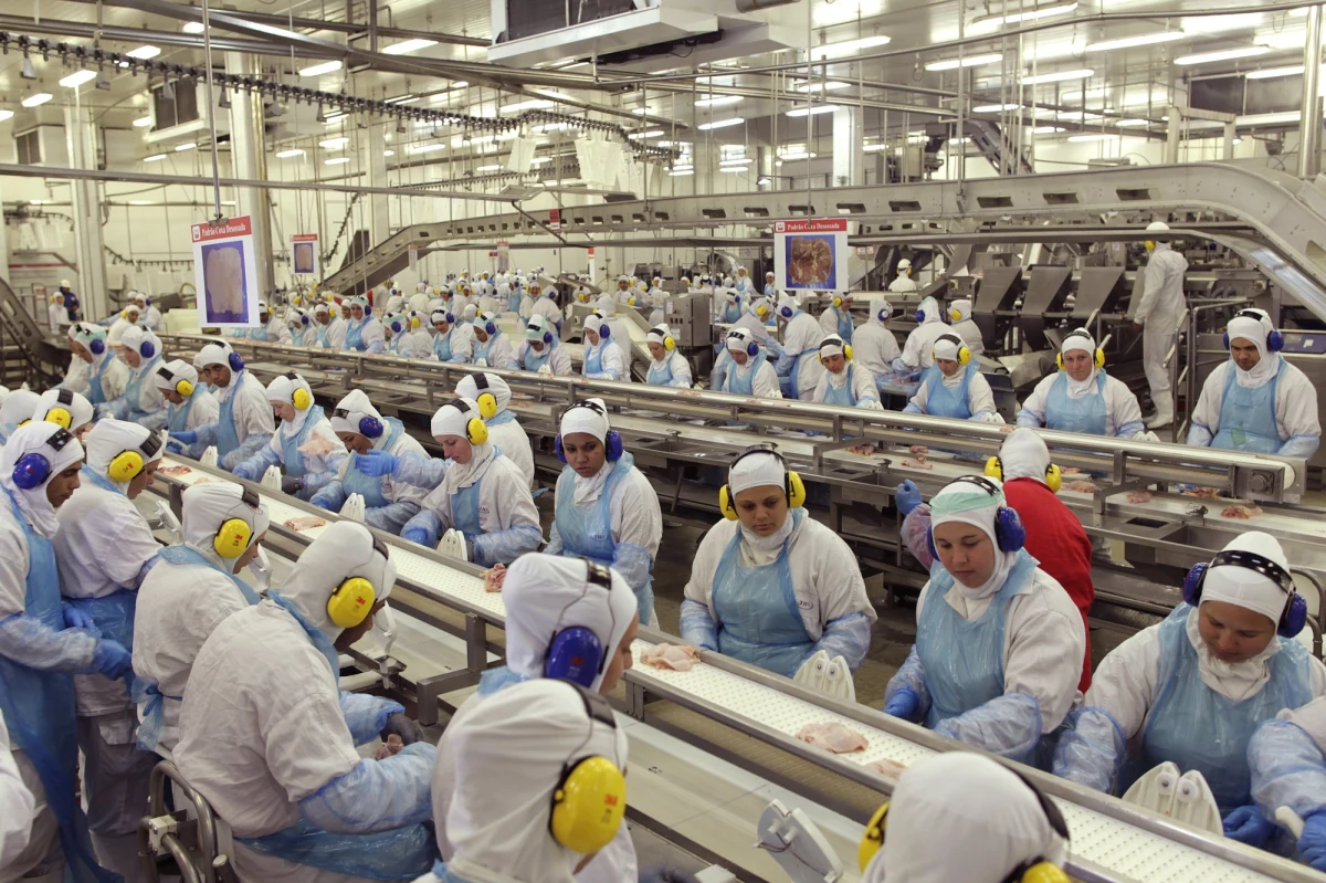 Cyberatak sparaliżował prace JBS S.A. - największej na świecie firmy produkującej i przetwarzającej mięso. W Australii tysiące osób zatrudnionych przez przedsiębiorstwo nie pracowało, w Kanadzie i USA odwołano niektóre zmiany - poinformowały w mediach społecznościowych związki zawodowe i strony firm.