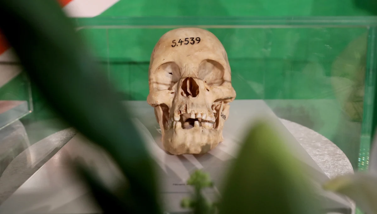 Zagrożone jest historyczne porozumienie zawarte przez RFN i Namibię ws. zbrodni kolonialnych Niemców w tym kraju. Kilka ważnych stowarzyszeń grupy etnicznej Herero walczy o wstrzymanie umowy. Wielu jej przywódców liczyło na znacznie wyższe dopłaty bezpośrednie. Mowa nawet o 477 mld euro - pisze dziennik "Bild". 