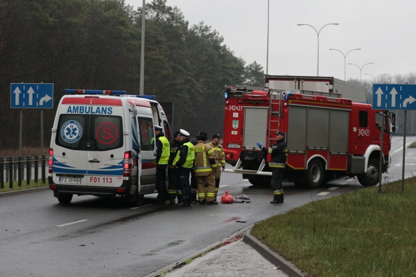 /Fot. Piotr Jedzura /Reporter