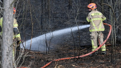 Duże zagrożenie pożarami lasów w czterech województwach
