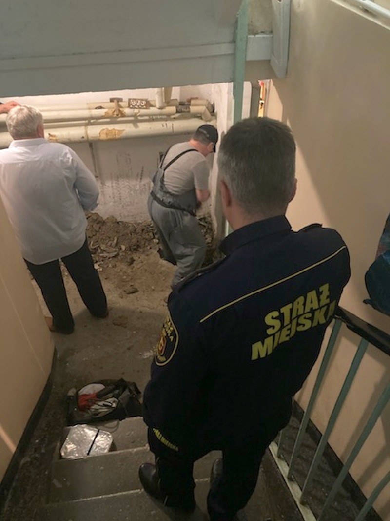 /Straż Miejska w Warszawie