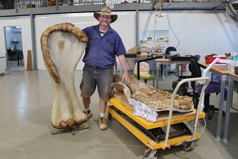 /Queensland Museum/Eromanga Natural History Museum /materiały prasowe