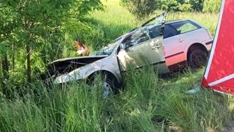 Dolnośląskie: Dziecko, które potrącił, zmarło. Szuka go policja 