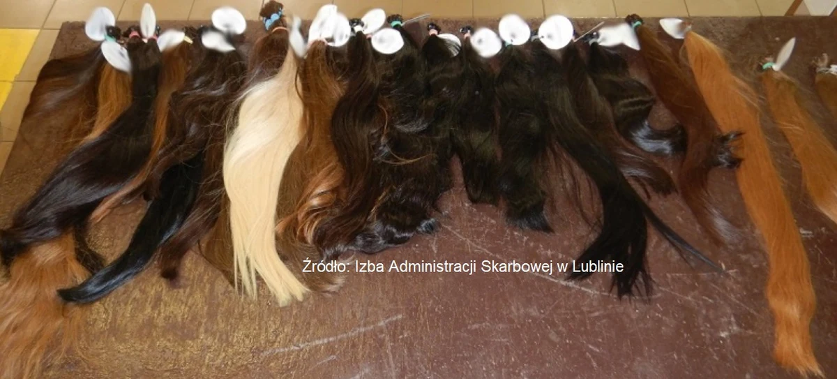 2,5 kg ludzkich włosów próbował przemycić przez polsko-białoruską granicę mieszkaniec Moskwy. Mężczyzna tłumaczył, że przesyłkę wiózł do Francji dla swojej znajomej.