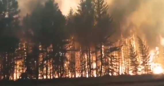 Grandes incendios forestales en Siberia.  Miles de bomberos combaten las llamas