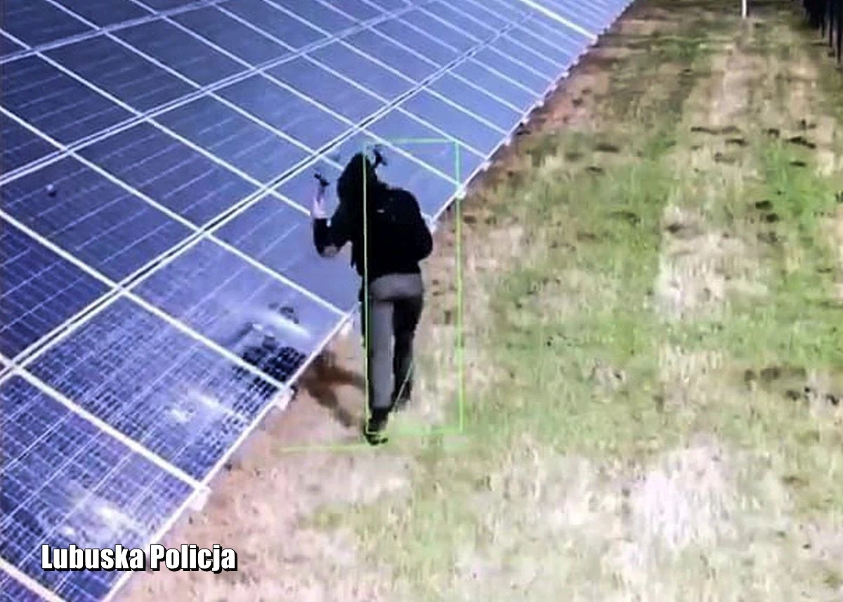 30-latek jest podejrzany o zniszczenie paneli fotowoltaicznych powiecie żagańskim w województwie lubuskim. "Właściciel farmy oszacował straty na 322 tys. zł" – poinformował rzecznik lubuskiej policji Marcin Maludy.