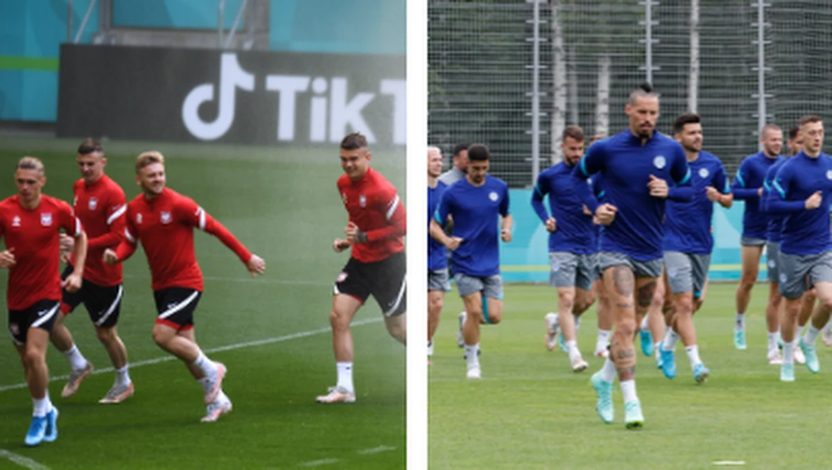 Trzy zwycięstwa, remis i cztery porażki - to bilans dotychczasowych ośmiu meczów piłkarskiej reprezentacji Polski ze Słowacją, która w poniedziałek w Sankt Petersburgu będzie jej pierwszym grupowym rywalem w mistrzostwach Europy. Bramki: 13-12 na korzyść biało-czerwonych.
