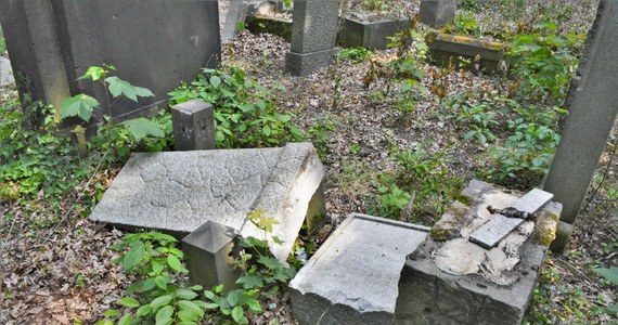 Pięciu 12-latków zostało zatrzymanych w związku ze zniszczeniem kilkudziesięciu nagrobków na Nowym Cmentarzu Żydowskim przy ul. Lotniczej we Wrocławiu. O dalszym losie chłopców zdecyduje sąd rodzinny. 