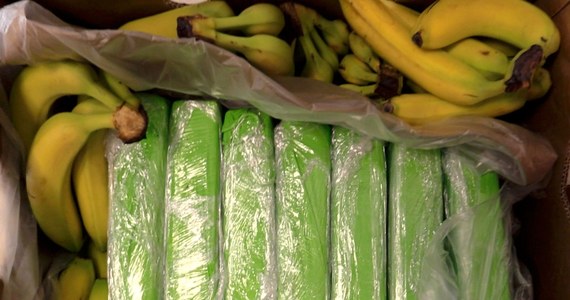 Policjanci przejęli 168 kilogramów kokainy – dowiedział się reporter RMF FM. To narkotyki, które w zeszłym tygodniu trafiły w bananach do hurtowni, a stamtąd do sklepów popularnej sieci handlowej.