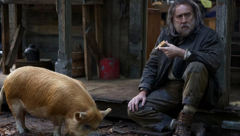 16 lipca tego roku zadebiutuje najnowszy film z Nicolasem Cage’m w roli głównej zatytułowany „Pig” („Świnia”). Popularny aktor wciela się w nim w rolę mieszkającego w oregońskich lasach pustelnika, właściciela świnki specjalizującej się w wynajdowaniu trufli. Właśnie zadebiutował zwiastun tej produkcji wyreżyserowanej przez Michaela Sarnoskiego.