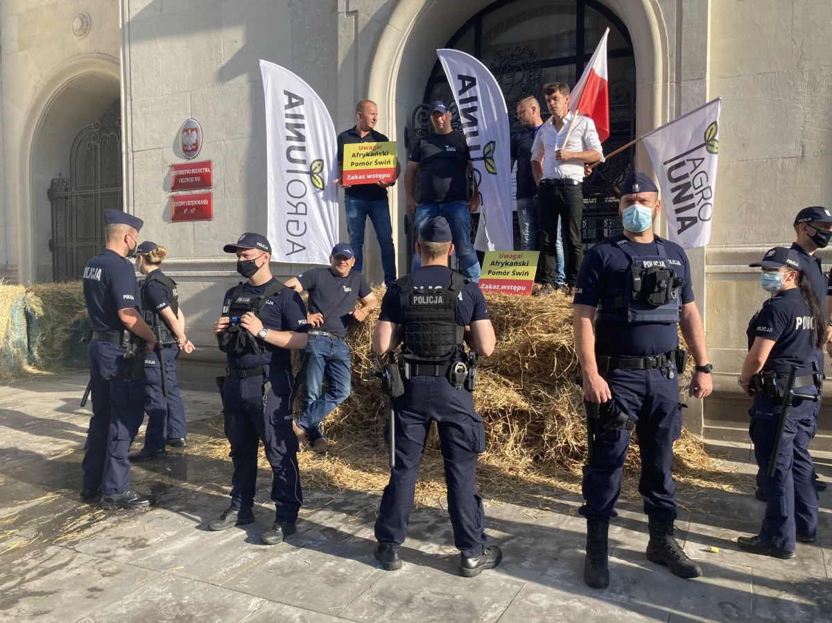 Bele siana, rozlana gnojówka i odpalone race - tak wyglądał protest AGROunii przed gmachem resortu rolnictwa w Warszawie. Jego uczestnicy zamocowali na drzwiach gmachu łańcuchy i kłódki, którym towarzyszyły tabliczki z napisem: "Afrykański Pomór Świń. Zakaz wstępu". "Nie ma przyzwolenia na to, żeby ministerstwo, które nie działa, mogło być otwarte" - tłumaczył lider AGROunii Michał Kołodziejczak. "Oni zamknęli się na nas. Dzisiaj my ich zamykamy w tym gmachu" - dodał. 