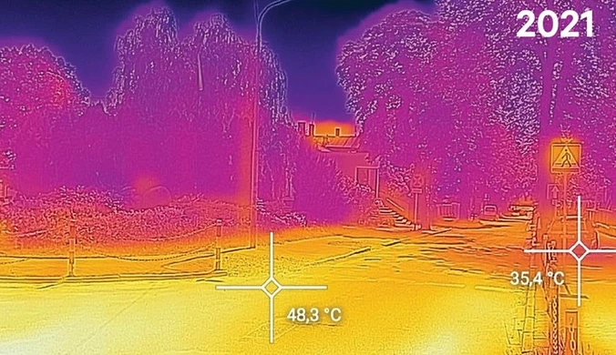 Wycięto kasztanowce. Temperatura sięgnęła 50 stopni