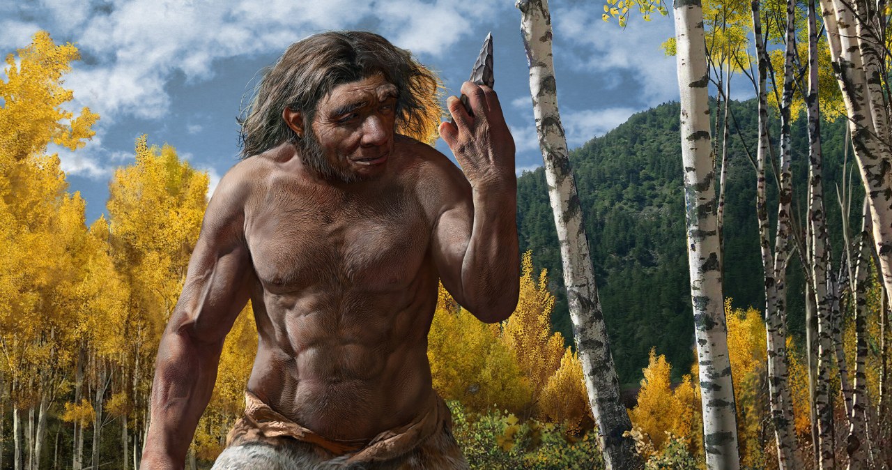 Kiedy została wynaleziona matematyka? Liczono już w prehistorii