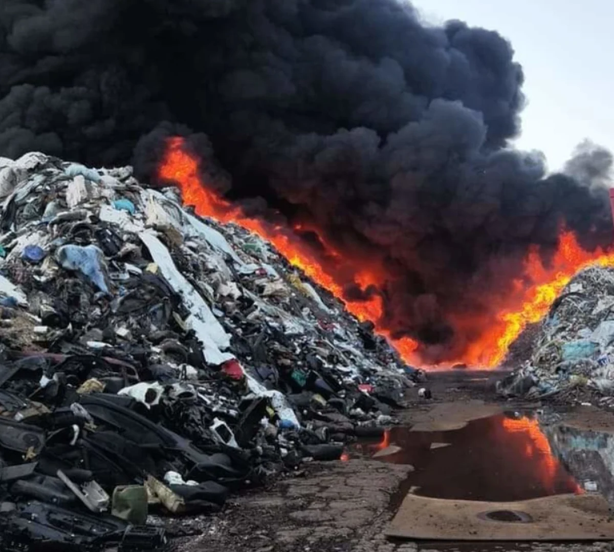 W Przysiece Polskiej koło Kościana w Wielkopolsce trwa akcja strażaków po wczorajszym pożarze tamtejszego składowiska odpadów. Mieszkańcy pobliskich bloków zorganizowali w tym czasie przed bramą zakładu pikietę.