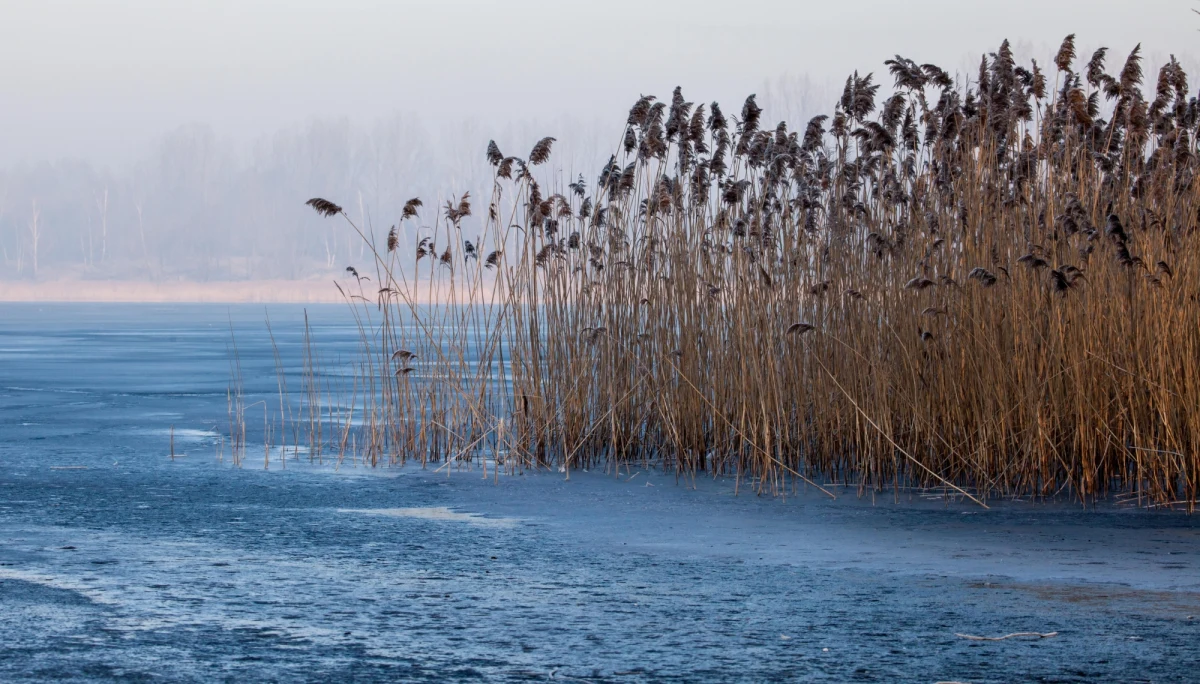 Policja z Dąbrowy Górniczej szuka kobiety i mężczyzny, którzy wczoraj odpoczywali przy zbiorniku wodnym Pogoria. Na plaży zostały rzeczy tej pary. 
