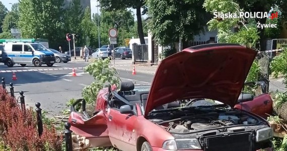 W internecie pojawiło się nagranie z dramatycznego wypadku, do którego doszło wczoraj w Żywcu. Widać na nim, jak na przejeżdżający samochód przewróciło się drzewo. Ranne zostały matka i córka. 