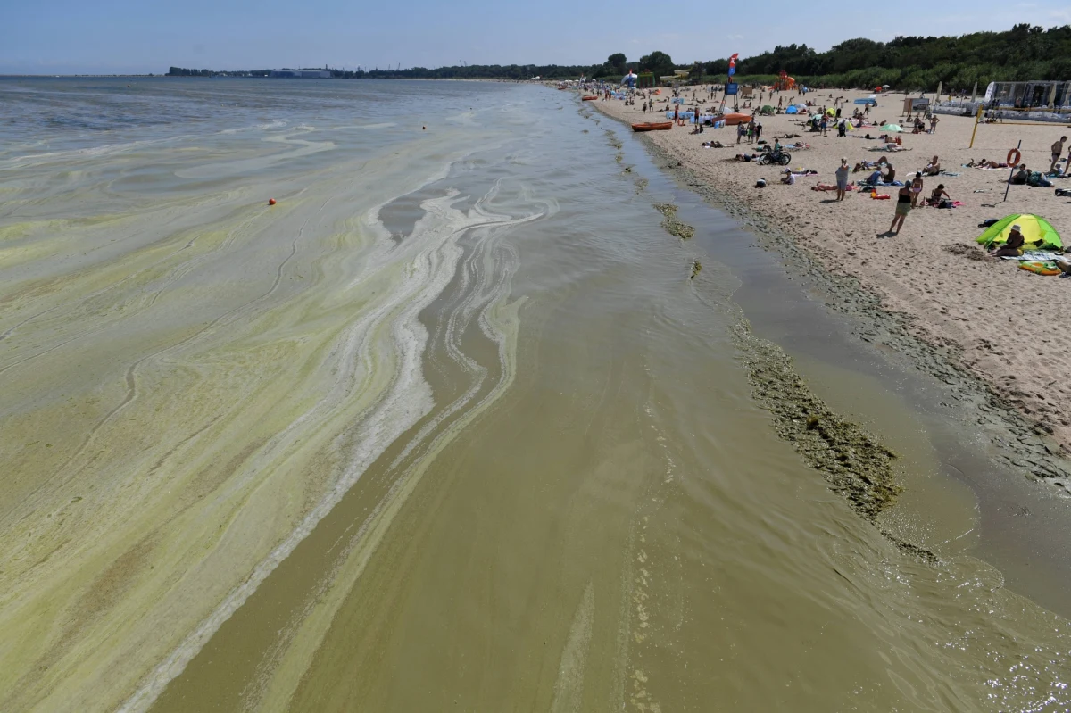 Złe informacje dla wypoczywających na Pomorzu. W ciągu jednej doby drastycznie pogorszyła się sytuacja sanitarna nad Zatoką Gdańską. Nie można się kąpać w 11 nadmorskich kąpieliskach, w tym 8 w Sopocie. Zakwitły tam bowiem sinice - informuje Główny Inspektorat Sanitarny.