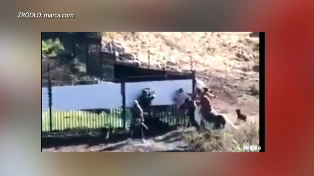 ​Były piłkarz Liverpoolu i ex-reprezentant Chile Mark Gonzalez został brutalnie zaatakowany i pobity. Jak twierdzi, agresorzy napadli na niego bez konkretnej przyczyny podczas spaceru po górach w Chile.