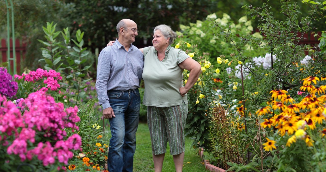 Pieniądze dla seniorów, którzy skończyli 75 lat. Tyle ZUS przeleje bez wniosku