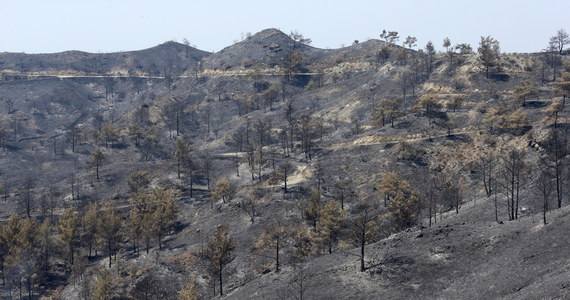 Cztery osoby zginęły w potężnym pożarze, który od soboty pustoszył południową flankę lasu w górach Troodos na Cyprze - poinformowały władze tego kraju. Prezydent Nikos Anastasiadis ubolewał na Twitterze nad "największą tragedią od kilkudziesięciu lat". Władze Cypru oświadczyły w niedzielę, że pożar został opanowany.