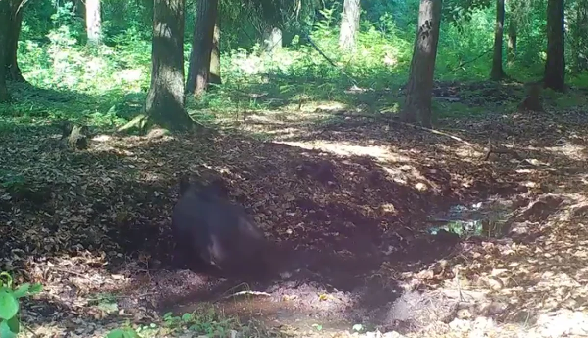 Nad Polskę nadciąga fala upałów. Dziś na popołudniowym zachodzie termometry pokażą do 30 stopni. Kolejne dni to jeszcze wyższa temperatura. 

