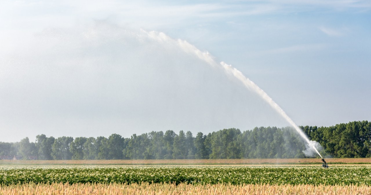 Los agricultores españoles lucharon contra la lluvia.  Cada gota de agua cuenta