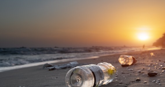 Opóźnienia w implementacji "dyrektywy plastikowej" będą miały konsekwencje - Vimarsana News