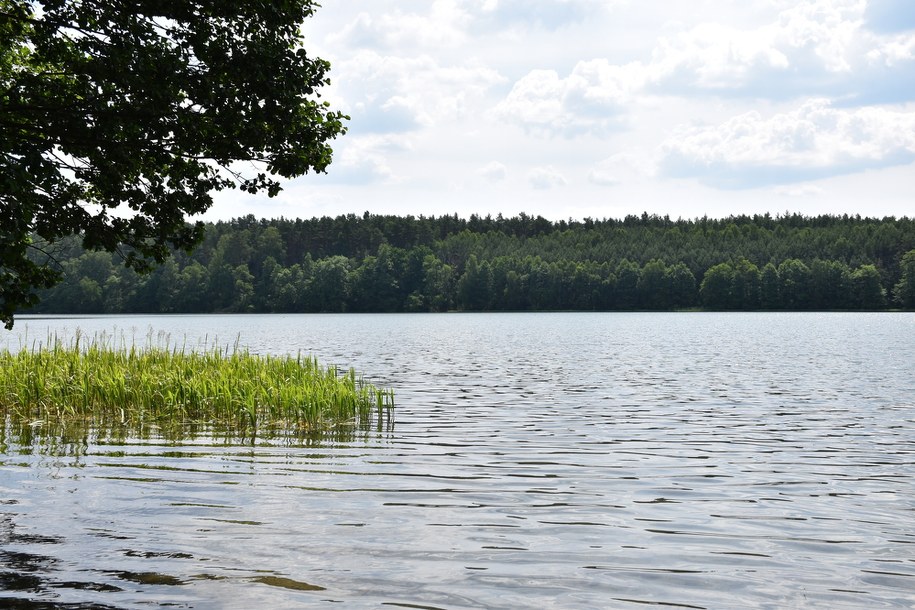 /Mateusz Chłystun /RMF FM