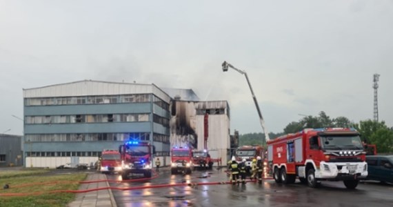 Strażacy szybko opanowali pożar na terenie zakładu produkcyjno-magazynowego w Głownie koło Zgierza w Łódzkiem. Z budynku ewakuowano 20 osób – wszystkie, które pracowały w tym miejscu. Przeszukano także pomieszczenia, gdzie był ogień. 