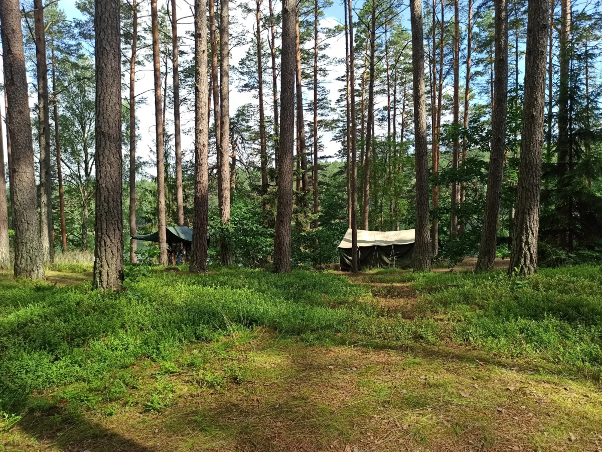 Troje dzieci zostało poszkodowanych w czasie burz, jakie w piątek po południu przetoczyły się przez Polskę. To harcerze ewakuowani z obozów harcerskich. W całej Polsce takich obozów ewakuowano kilkanaście. 